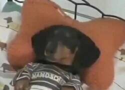 Enlace a Es triste, pero al mismo tiempo me hace feliz