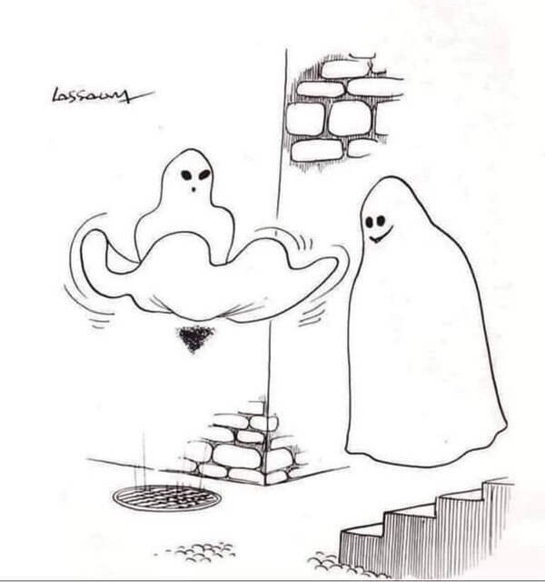 Meme_otros - El fantasma de una rubia de bote