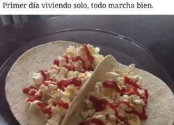 Enlace a Unos deliciosos tacos de... palomitas con... ketchup...