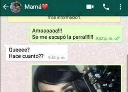 Enlace a Su padre ya había salido a buscar