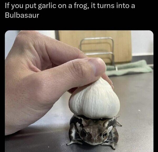 CC_2828214_37c3faef038a40d09935cb1e8ac77e10_meme_otros_si_pones_un_ajo_sobre_un_sapo.jpg