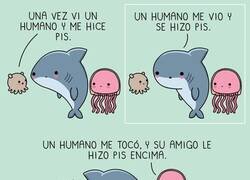 Enlace a Curiosas reacciones