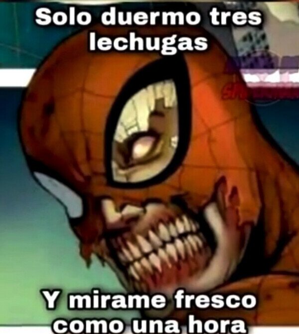 CC_2828272_a6f9ba747b874e6982f82da64141f0dd_meme_otros_falto_de_horas_de_sueno.jpg