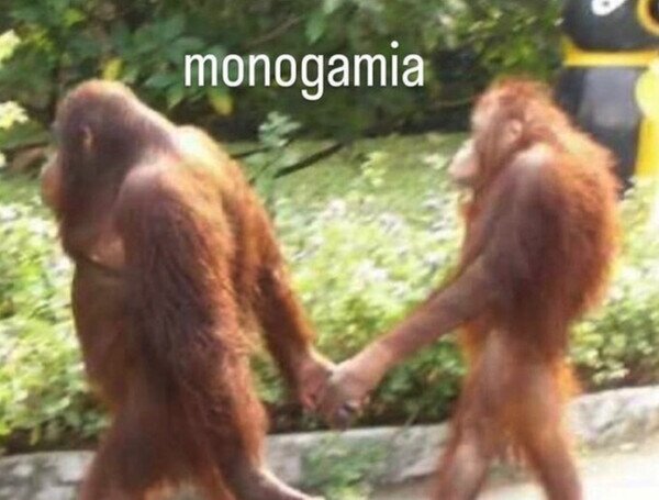 Otros - Debe de ser esto