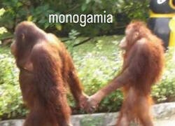 Enlace a Debe de ser esto