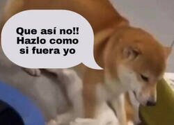 Enlace a Estoy agobiando a ChatGPT