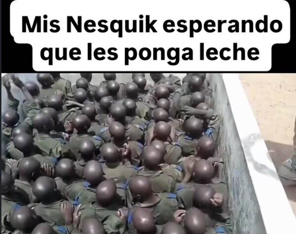 Otros - Cereales expectantes