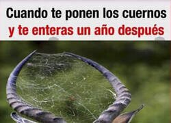 Enlace a Cuernos antiguos