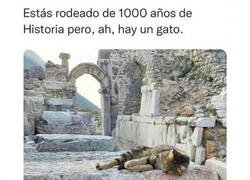 Enlace a Centrémonos en lo importante