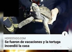 Enlace a No le gusta que la dejen sola