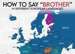 Enlace a ¿Cómo se dice 'hermano' en cada país de Europa?