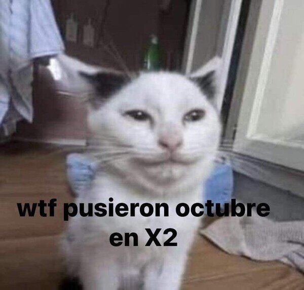 Meme_otros - ¿A alguien más le pasó rápido este mes?