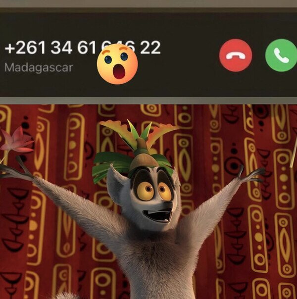 Otros - Me está llamando el Rey Julien