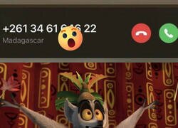 Enlace a Me está llamando el Rey Julien