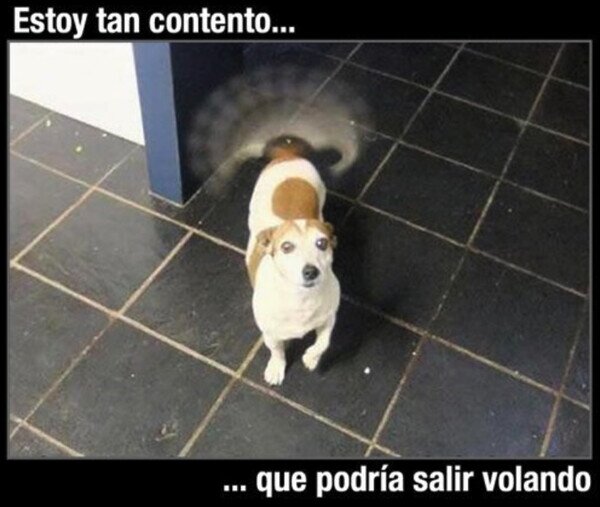 Otros - Activó el modo helicóptero