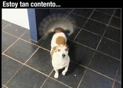 Enlace a Activó el modo helicóptero