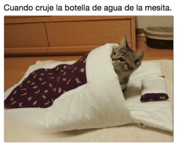 Otros - ¿Qué ha sido eso?