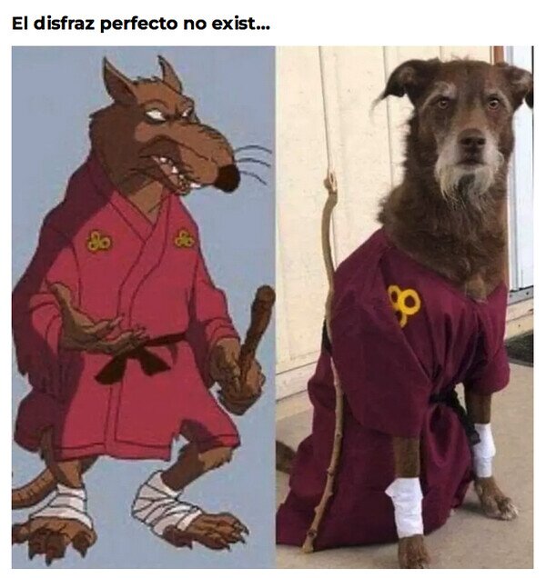 Meme_otros - ¿Dónde se dejó a las tortugas?