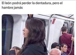 Enlace a El león que perdió la dentadura