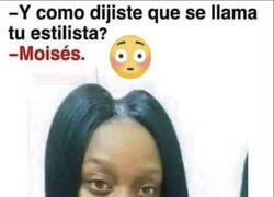 Enlace a Tiene sentido