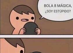 Enlace a Se respondió solo