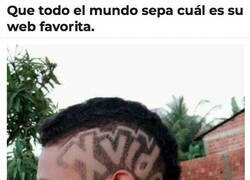 Enlace a Usuario orgulloso