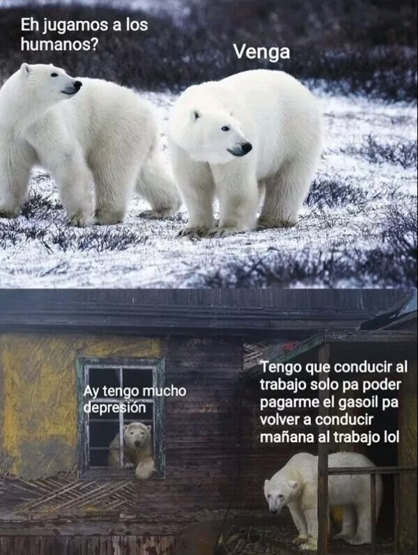 Meme_otros - Jugando a los humanos