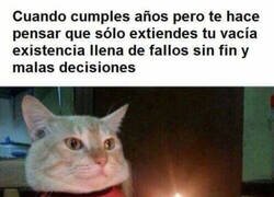 Enlace a Un año más, un año menos