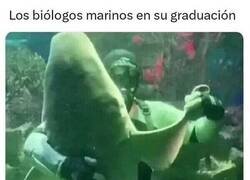 Enlace a Baile de fin de curso