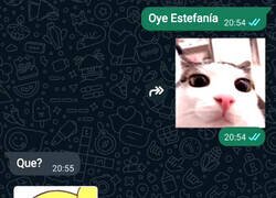 Enlace a Las vuelta que da la vida