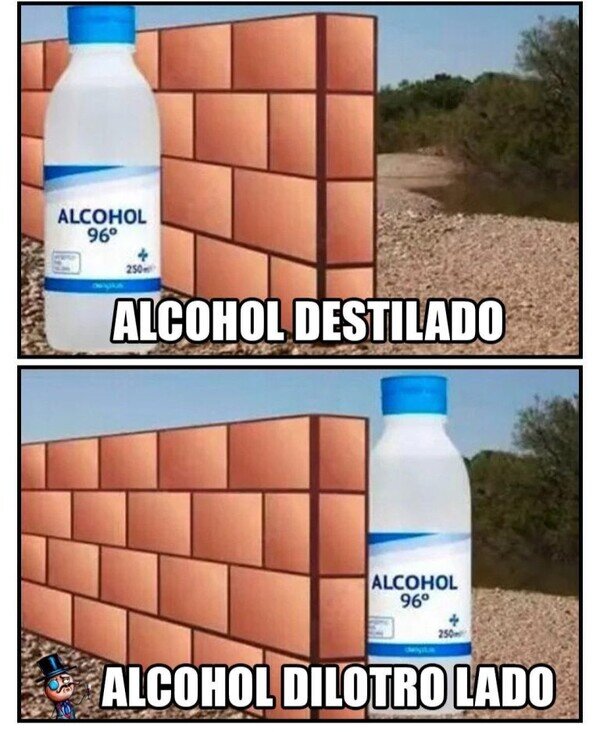 Otros - La tontería del día