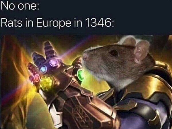 Meme_otros - La peste fue el Thanos de la época