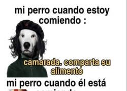 Enlace a A favor de compartir solo cuando es mío