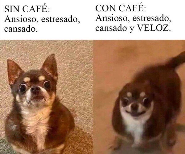 Otros - Con y sin café