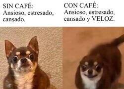 Enlace a Con y sin café