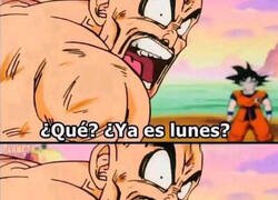 Enlace a El finde sufrió una descompostura