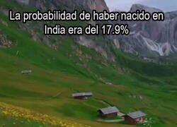 Enlace a Agradece cada día que pasa