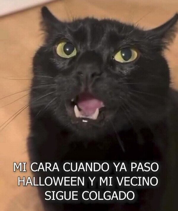 Meme_otros - Esto ya no es decorado...