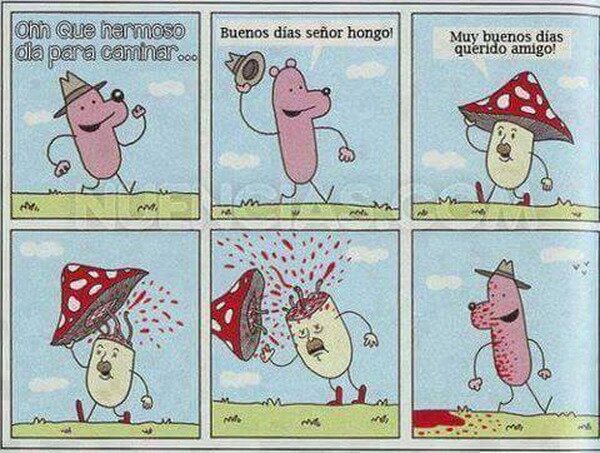 Meme_otros - La educación es lo primero