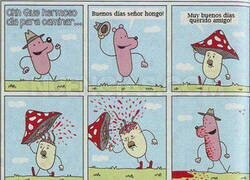 Enlace a La educación es lo primero