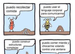 Enlace a Increíbles criaturas