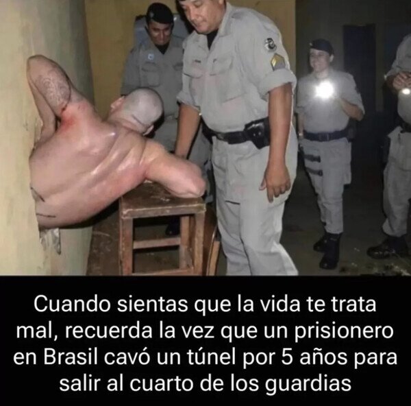 Otros - Todo el esfuerzo fue en vano