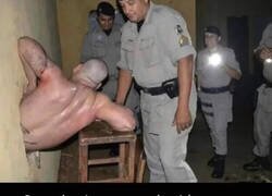 Enlace a Todo el esfuerzo fue en vano