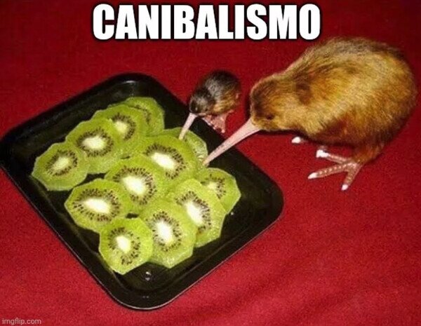 Otros - En su máxima expresión