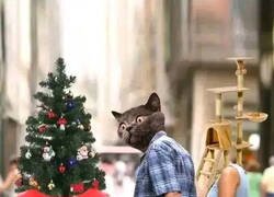 Enlace a Se acerca esa época