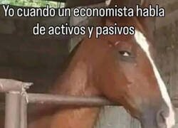 Enlace a Economía guei