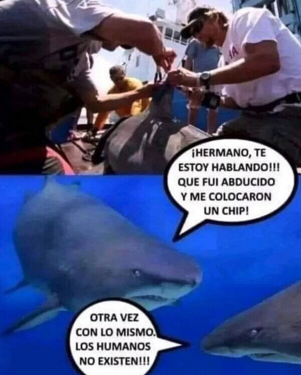 Meme_otros - Somos un mito para los animales marinos