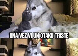 Enlace a ¡Buen chico!