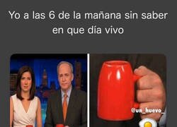 Enlace a Estoy más desorientado que la taza