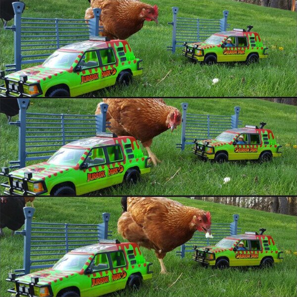 Otros - Jugar a Jurassic Park en el corral fue más divertido de lo que pensaba